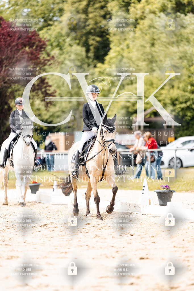 CK902440 | Turnierfotografie Pferdefotografie Trier Rheinland-Pfalz Pferdesport Reitsport Tierfotografie Sportfotografie Pferdevideo Pferdevideografie Equestrianvideography equestrianphotography  - Realisiert mit Pictrs.com