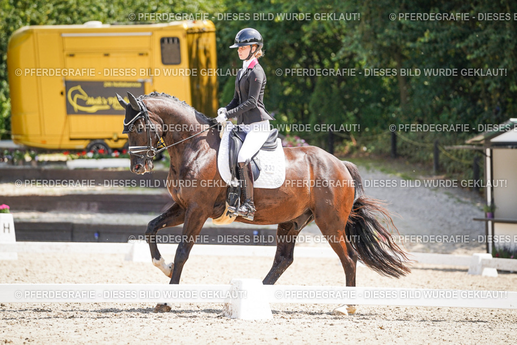 DSC01625 | Pferdegrafie