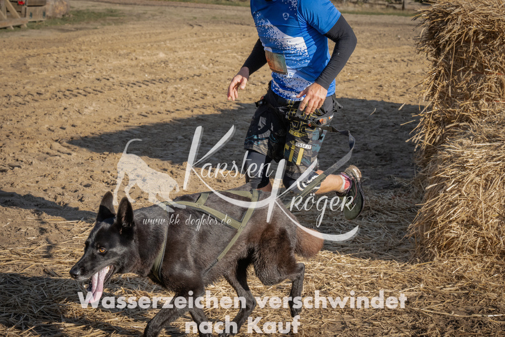 1105_ZZ90049 | kk-dogfotos