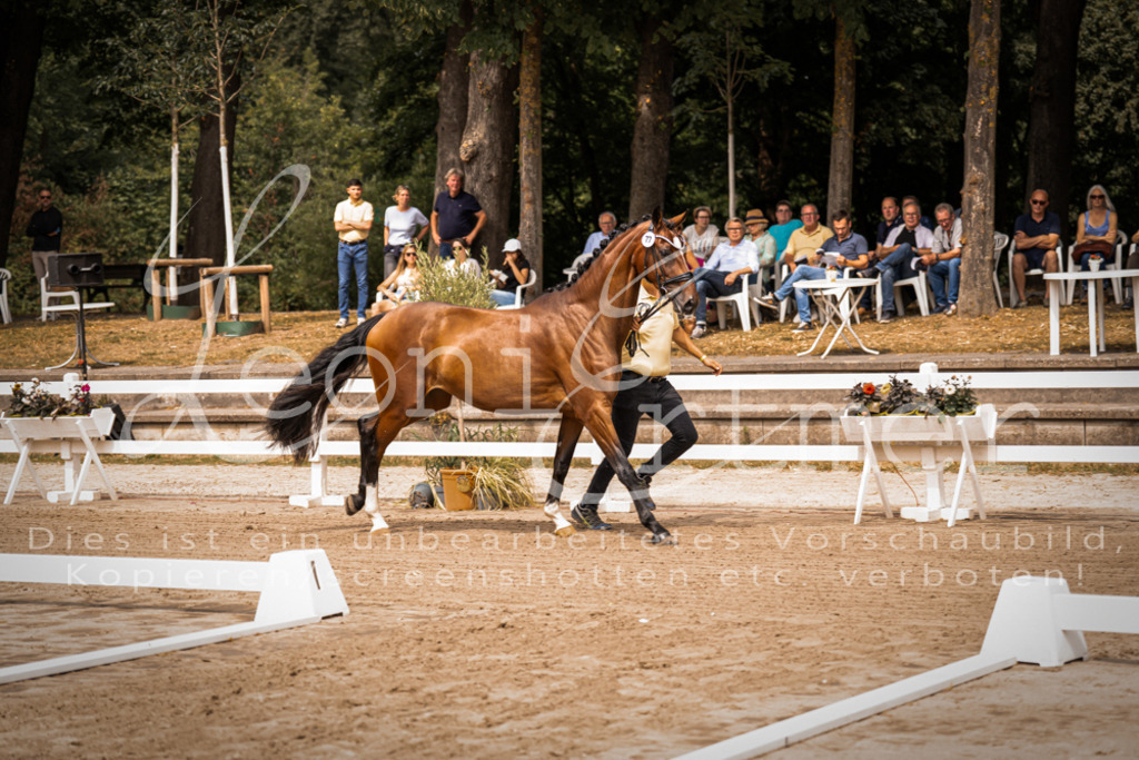 4.Fr00005 | Leoni Ertmer Photography - Realisiert mit Pictrs.com