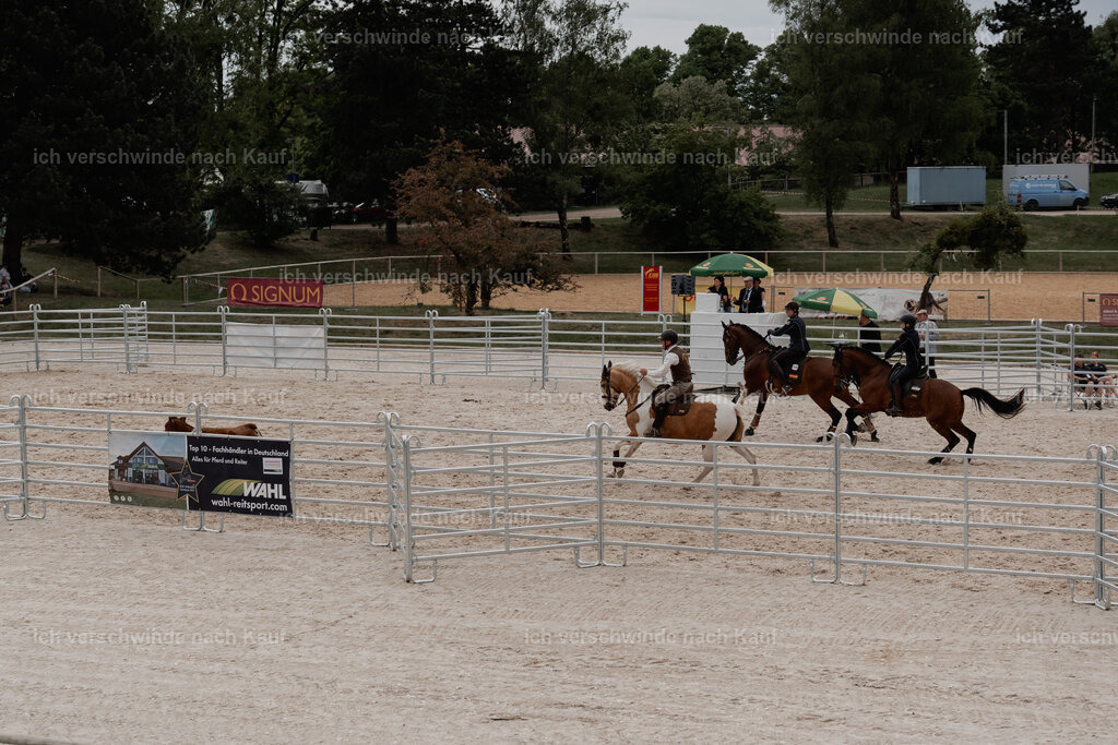 WE__Stoib_Rinder_PI2025_3172 | Pferd International München 2025