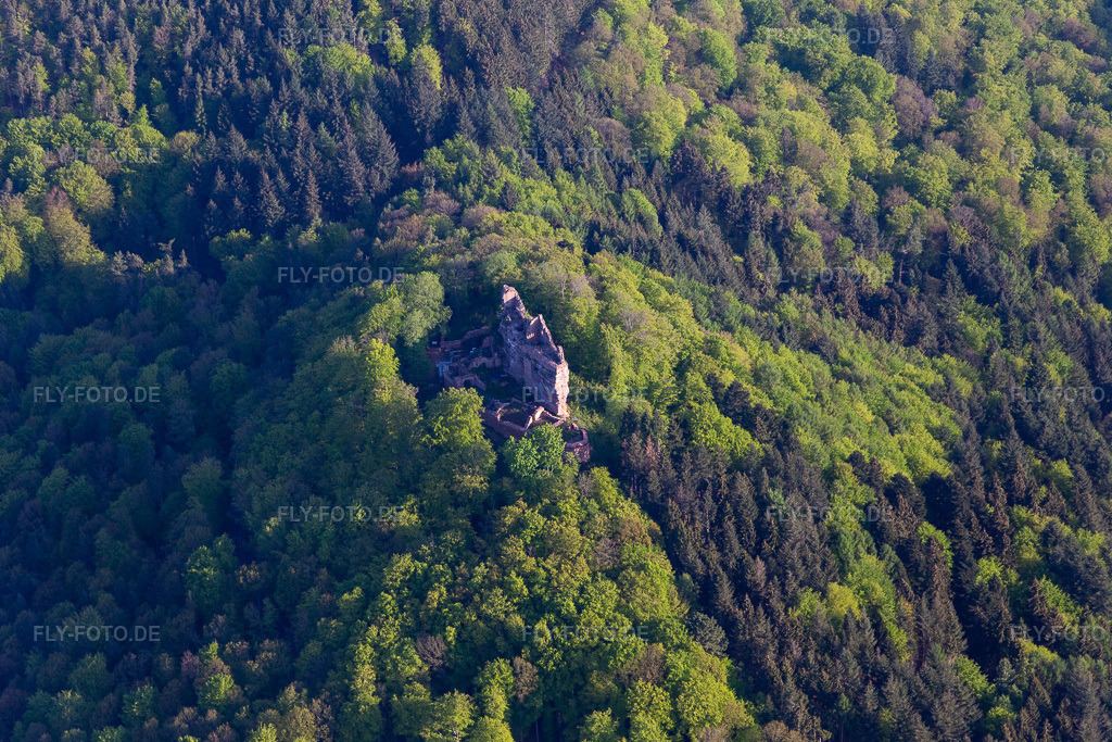 Luftbild: Burg Meisteresel in Ramberg im Bundesland Rheinland-Pfalz in Deutschland. Foto: IMG_113906.jpg vom 01.05.2019 durch Werner Riehm/FLY-FOTO.de
