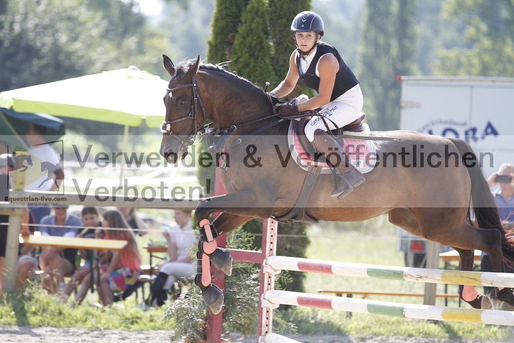 _MG_8591 | equestrian-live-com