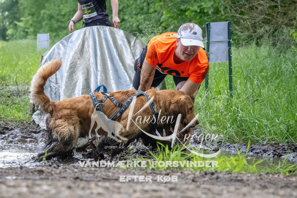 1145_ZZ94397 | kk-dogfotos