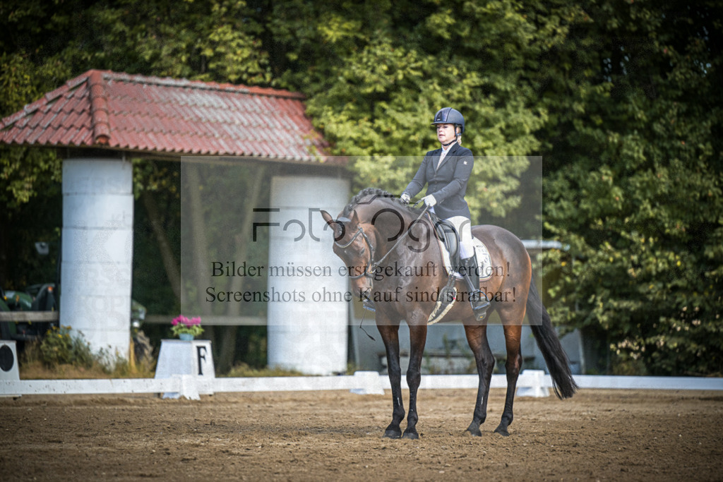 DOS_3963 | Entdecke hochwertige Reitturnierfotos von Foto Oger. Professionell, emotional und authentisch – jetzt Lieblingsmomente im Shop bestellen.Deutschlandweite Turnierfotografie. - Realisiert mit Pictrs.com