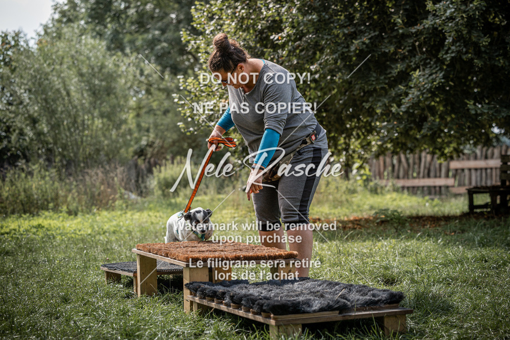 nelerasche_SoLauf_276 | nelerasche