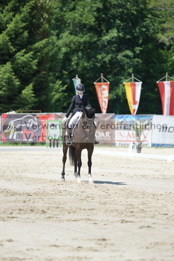 DSC03258 | equestrian-live-com