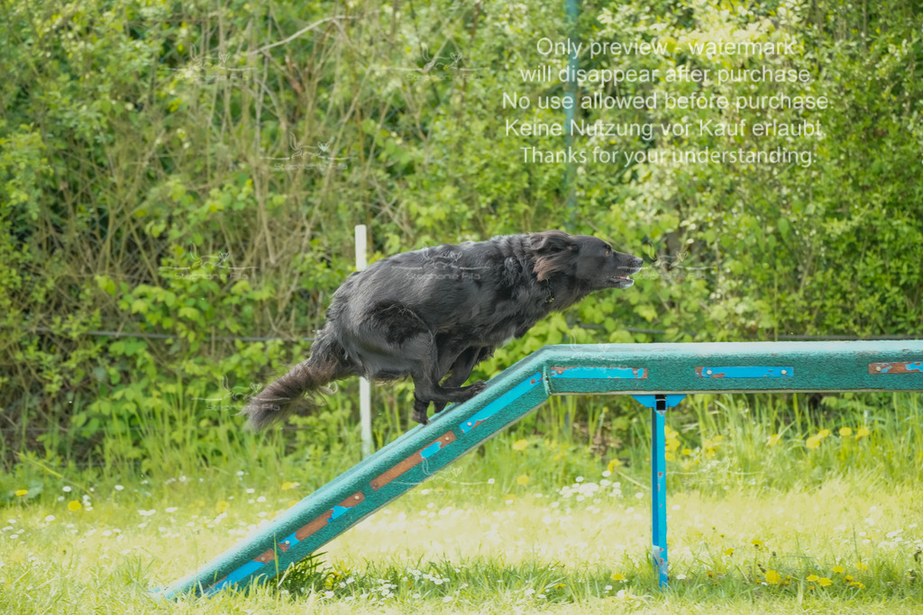 Sa_Laeufe_VK1und2_06-12 | stephaniefillaphotographie - Realisiert mit Pictrs.com