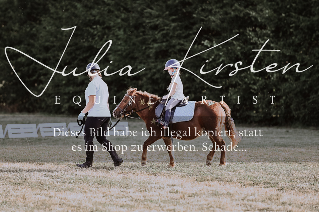 DSC_0140 | Pferde- und Turnierfotografie in Westsachsen. Pferdeportraits, Auftragszeichnungen und intuitive Kunst.