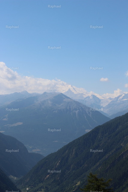 IMG_3275 | Raphael - Realisiert mit Pictrs.com