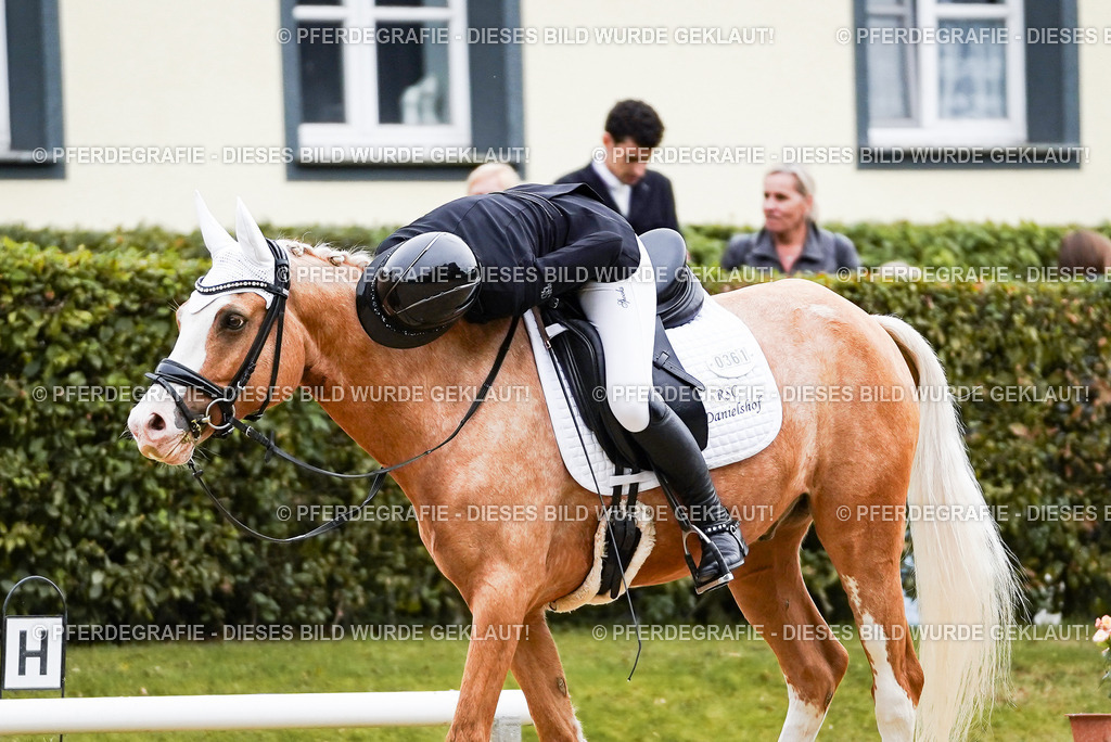 DSC01306 | Pferdegrafie