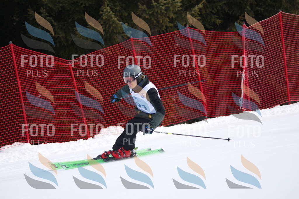 D7879 | holidayphoto