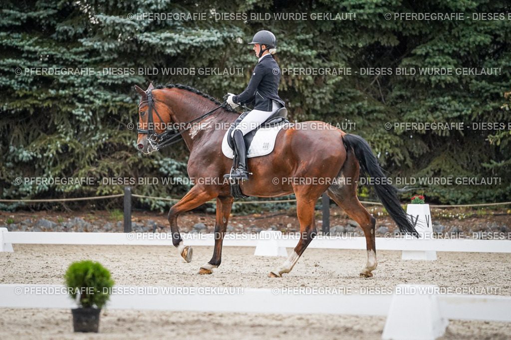 DSC09862 | Pferdegrafie