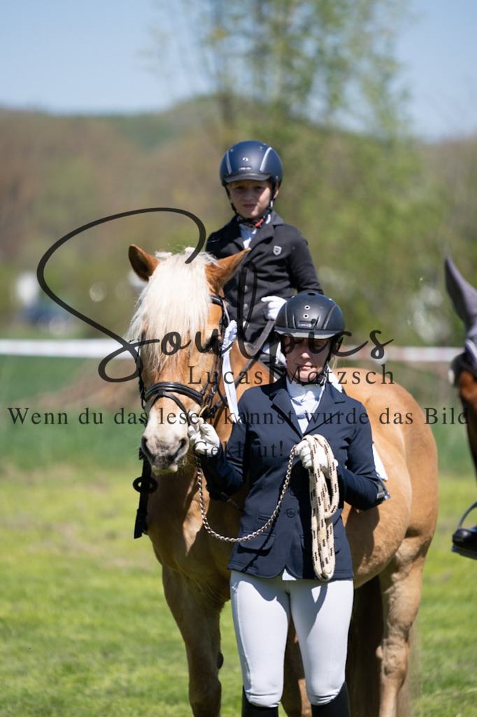 A7V01239 | Pferdefotograf