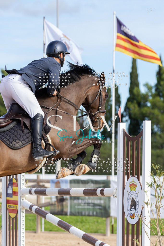 IMG_3728 | s-jay-photography - Realisiert mit Pictrs.com