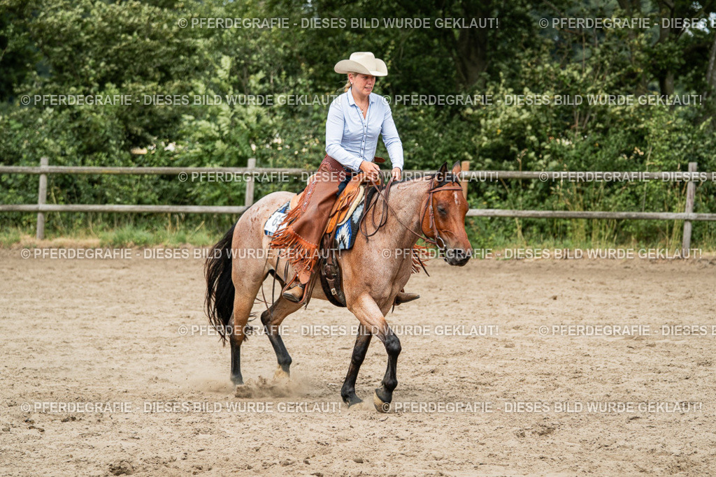 DSC01793 | Pferdegrafie