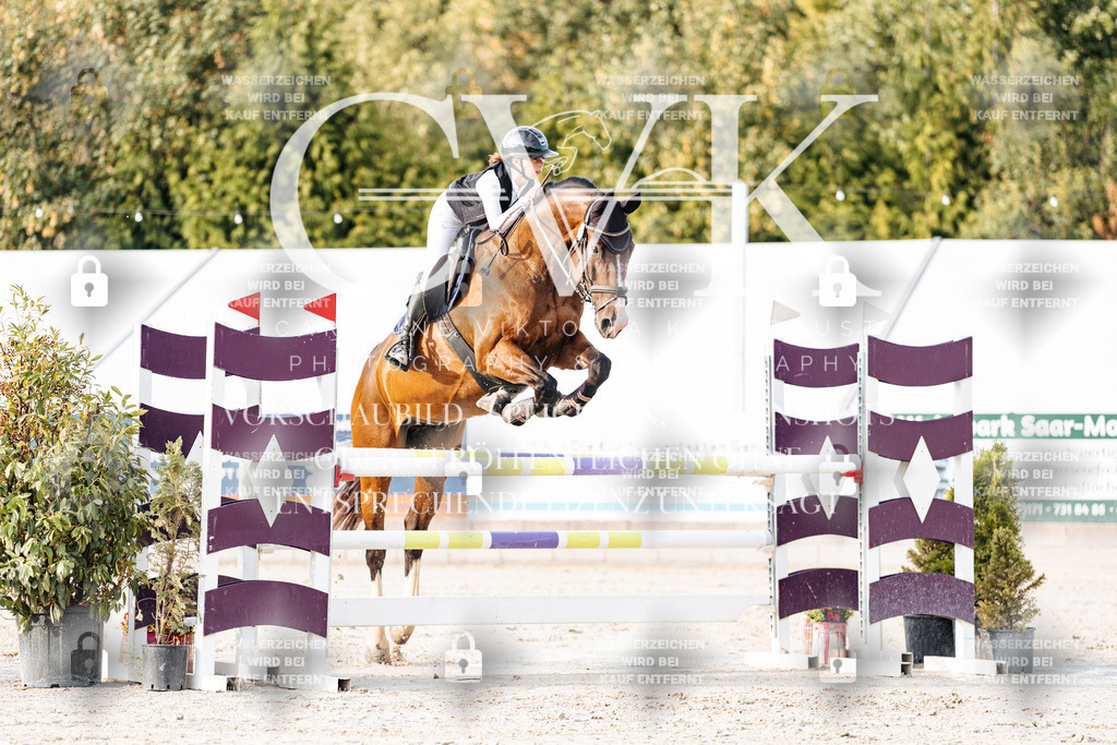 CK903348 | Turnierfotografie Pferdefotografie Trier Rheinland-Pfalz Pferdesport Reitsport Tierfotografie Sportfotografie Pferdevideo Pferdevideografie Equestrianvideography equestrianphotography  - Realisiert mit Pictrs.com