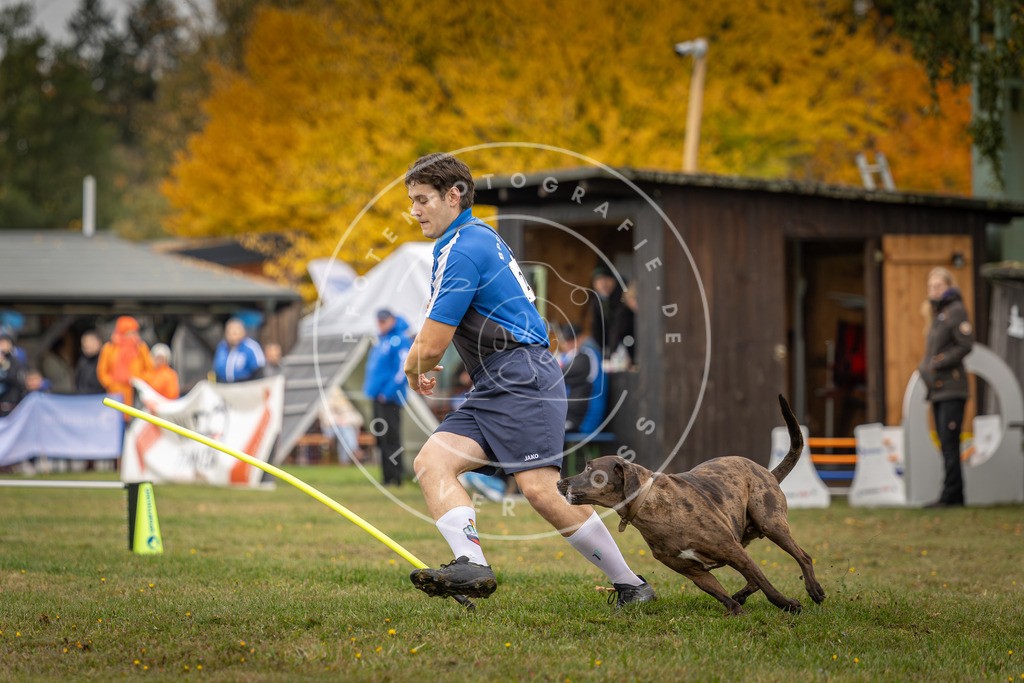 Pfotenfotografie_DV3A5124 | Hundefotografie, Tierfotograf, Pfotenfotografie, Fotoshooting Hund, Hunde Portrait, Hundesport, Hundeportraits, Heideshooting, Hunde, Sportfotograf, Hundefotograf, Turnierhundsport, THS,  - Realisiert mit Pictrs.com