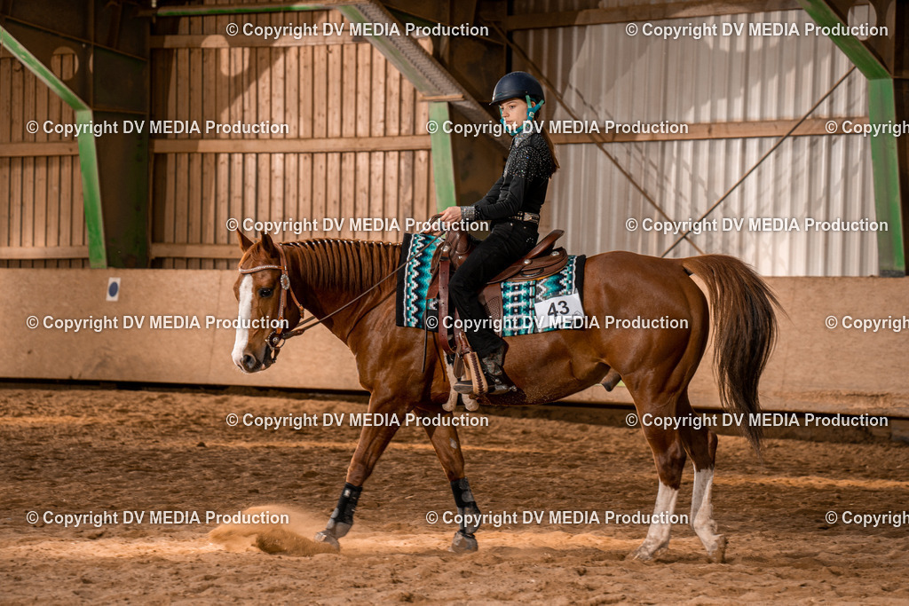 BAL02184 | dv-media-shop - Realisiert mit Pictrs.com