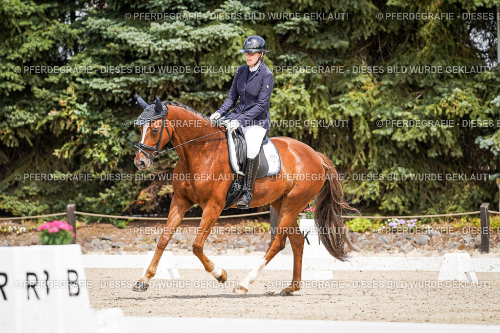 DSC02077 | Pferdegrafie