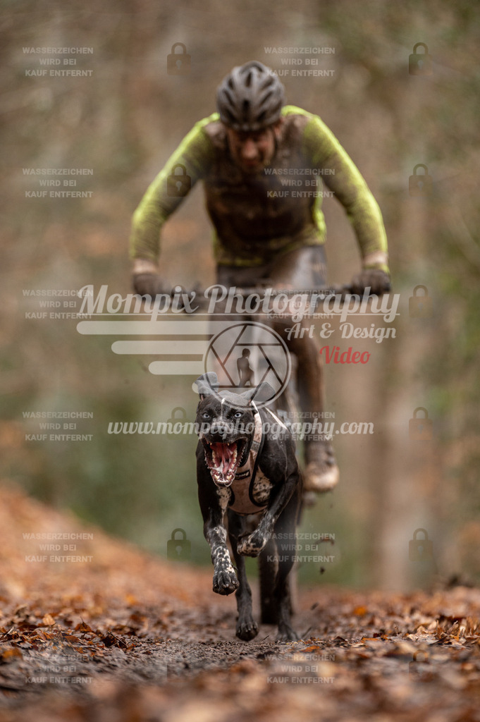 SPA_2023_DIM_Bike-117 | PayLife