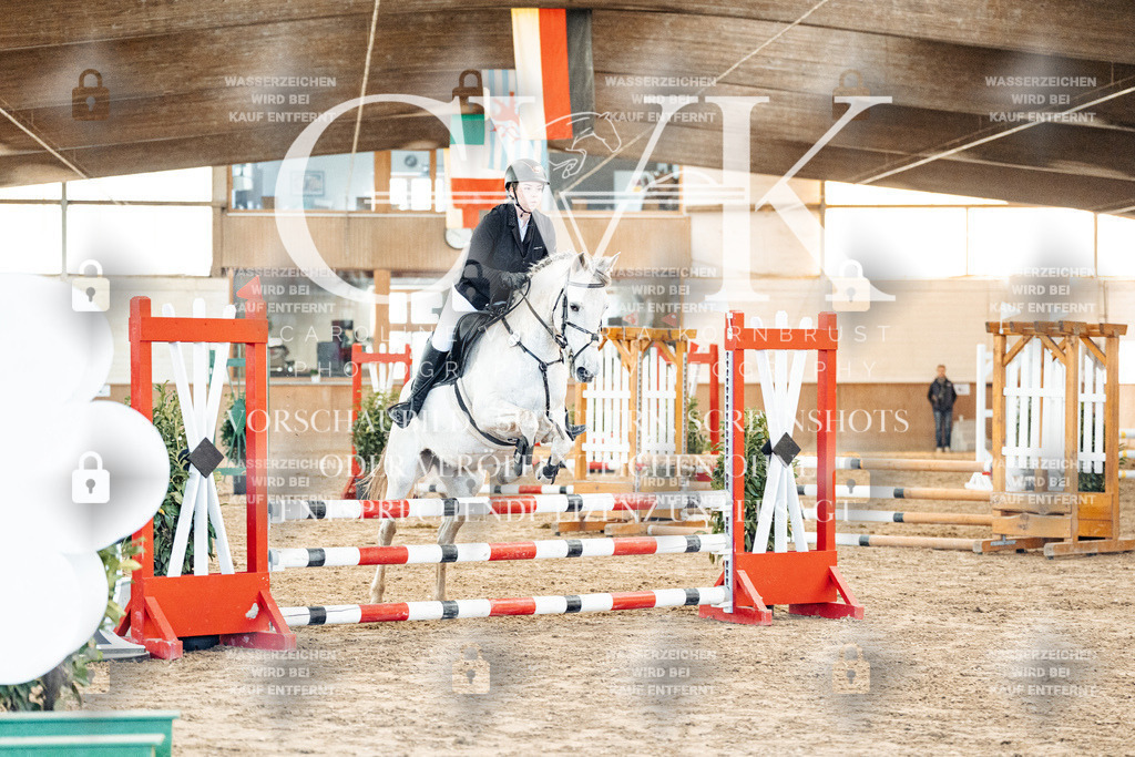 CK903998 | Turnierfotografie Pferdefotografie Trier Rheinland-Pfalz Pferdesport Reitsport Tierfotografie Sportfotografie Pferdevideo Pferdevideografie Equestrianvideography equestrianphotography  - Realized with Pictrs.com