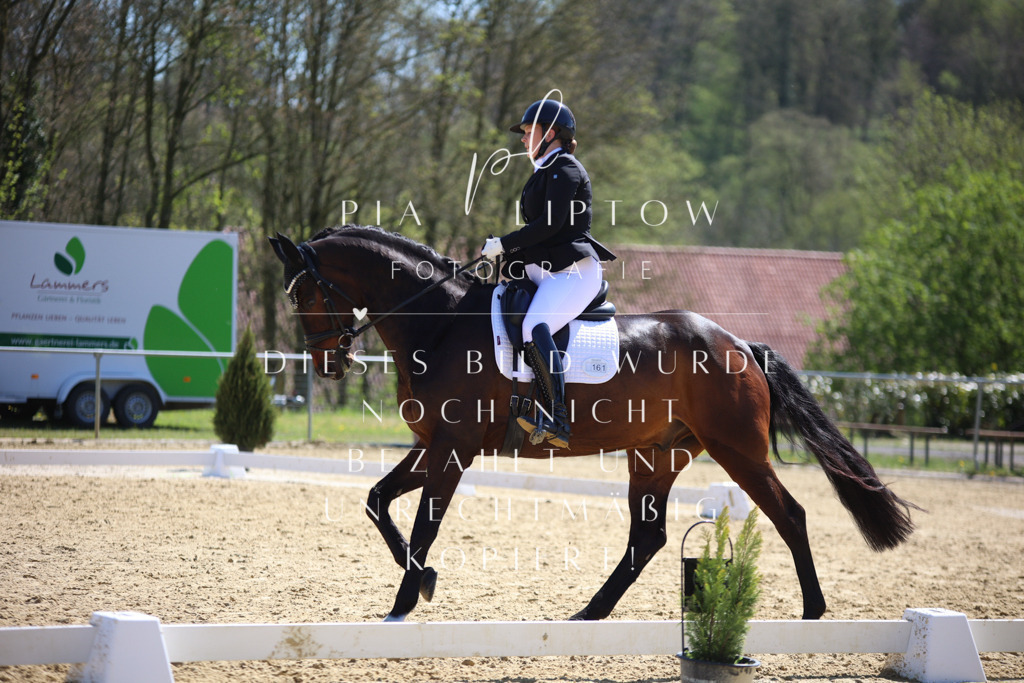 IMGT7523 | pl-fotografie