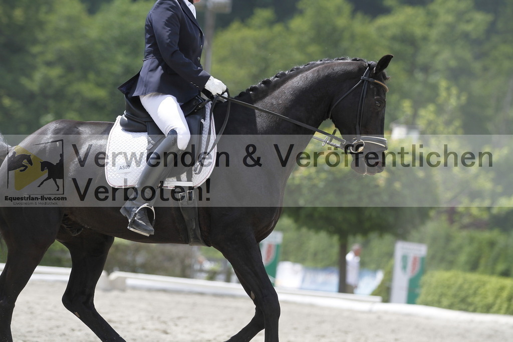 _MG_9872 | equestrian-live-com