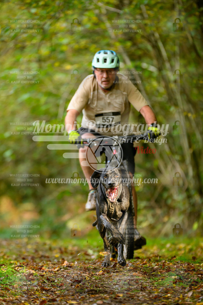MompixPhotography_20TSB_E1_Bike-30 | PayLife