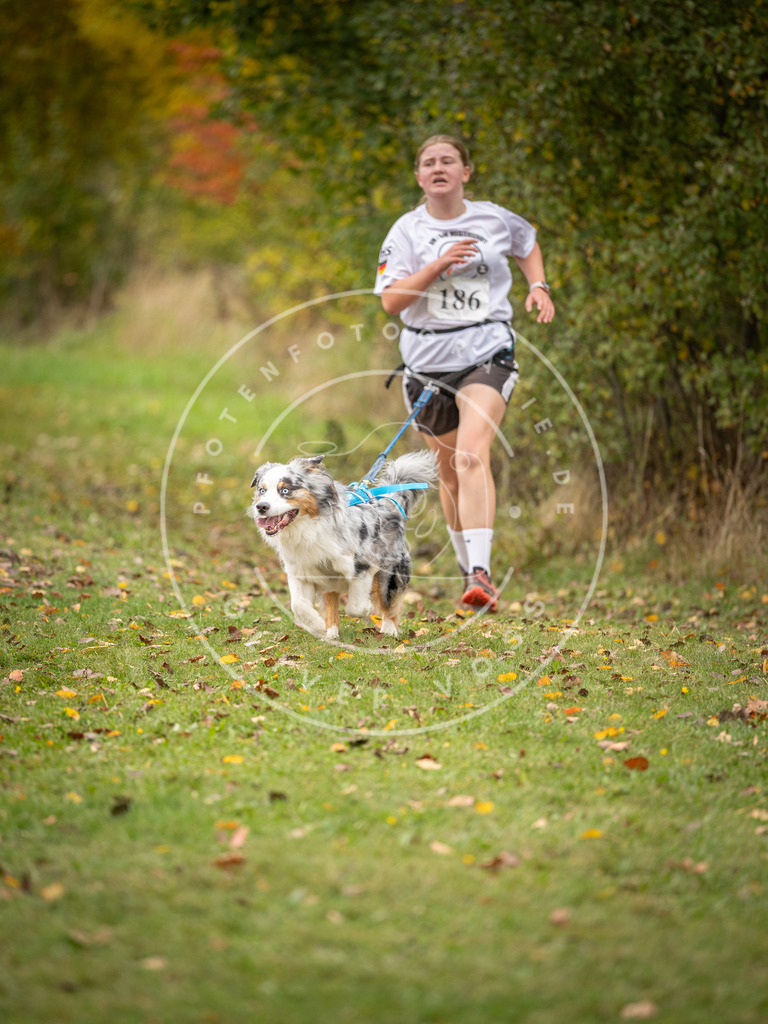 Pfotenfotografie_DV3A3669 | Hundefotografie, Tierfotograf, Pfotenfotografie, Fotoshooting Hund, Hunde Portrait, Hundesport, Hundeportraits, Heideshooting, Hunde, Sportfotograf, Hundefotograf, Turnierhundsport, THS,  - Realisiert mit Pictrs.com