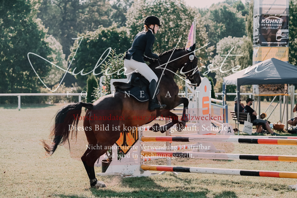 DSC_4811 | Pferde- und Turnierfotografie in Westsachsen. Pferdeportraits, Auftragszeichnungen und intuitive Kunst.