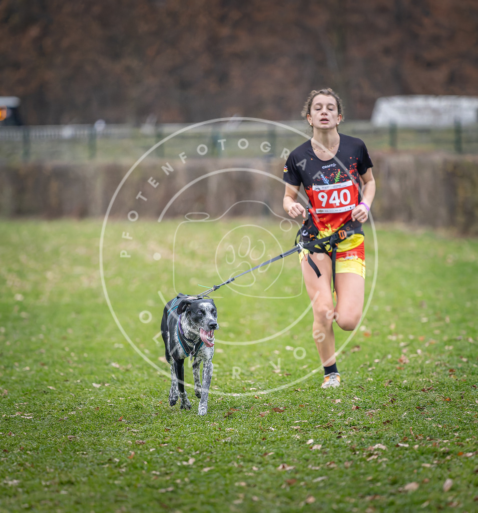 CaniXpix_DV3A7222 | Hundefotografie, Tierfotograf, Pfotenfotografie, Fotoshooting Hund, Hunde Portrait, Hundesport, Hundeportraits, Heideshooting, Hunde, Sportfotograf, Hundefotograf, Turnierhundsport, THS,  - Realisiert mit Pictrs.com