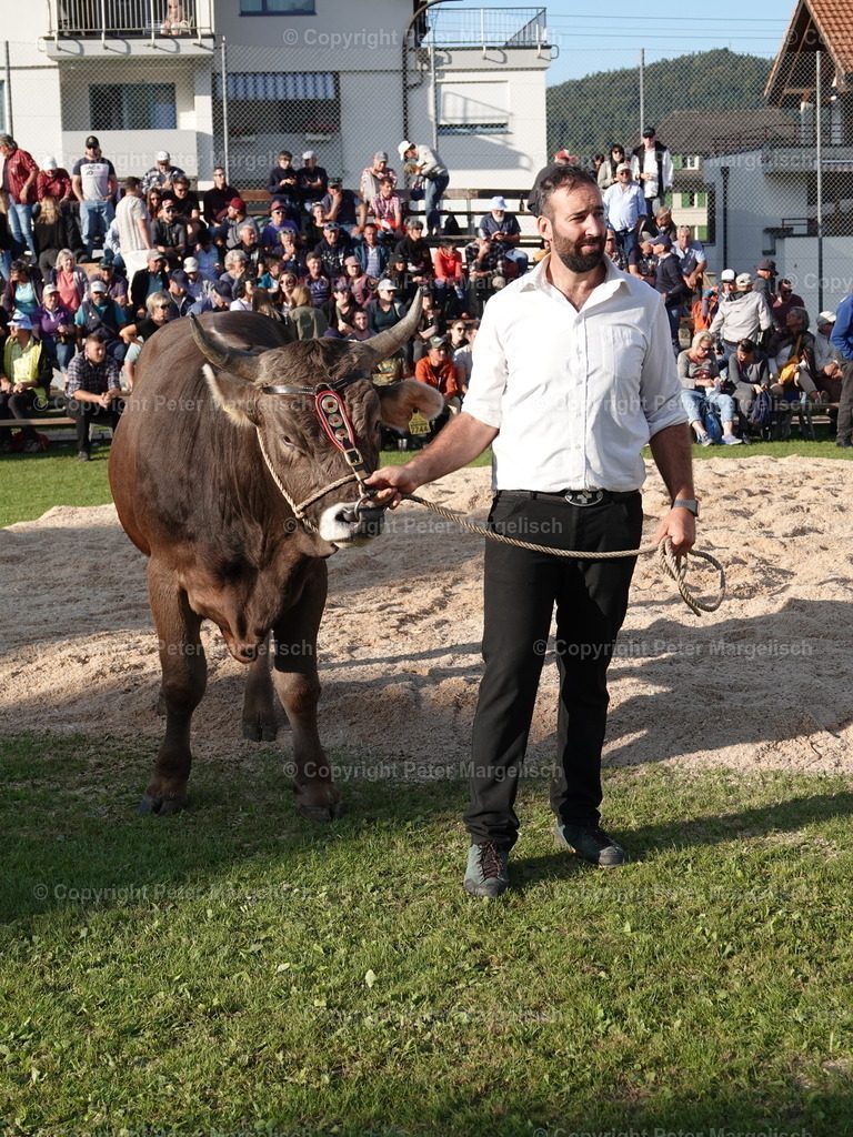 DSC05686 | Schwingen - Realisiert mit Pictrs.com