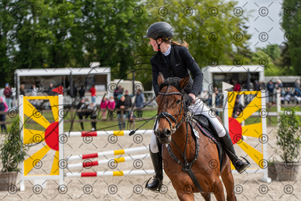 KPT_8894 | andre_photographic