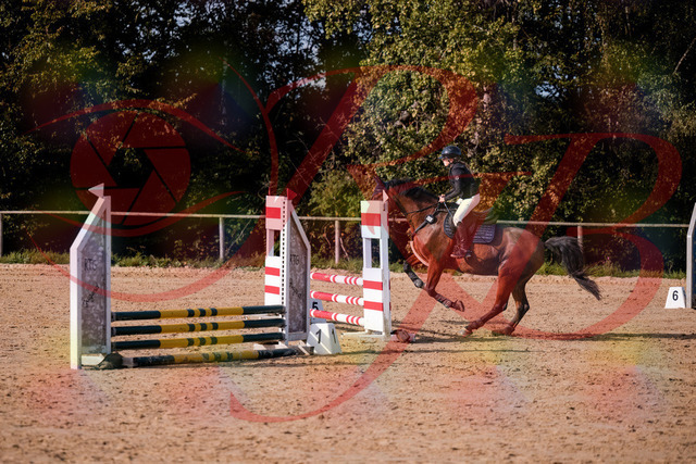 2026_10_03_Siefer-Hof_154659_Z81_66060672 | Professionelle Reitsport-, Turnier- und Eventfotografie von Robert Broda. Galerien mit ausgewählten und bearbeiteten Bildern direkt online ansehen und bestellen.