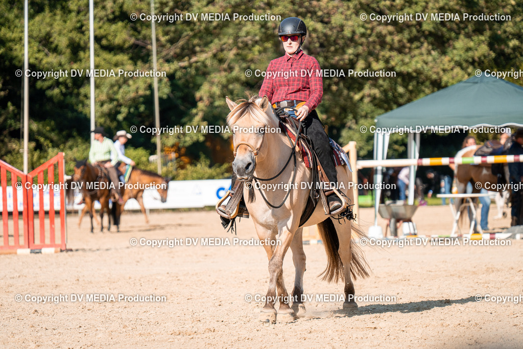 ZH100808 | dv-media-shop - Realisiert mit Pictrs.com