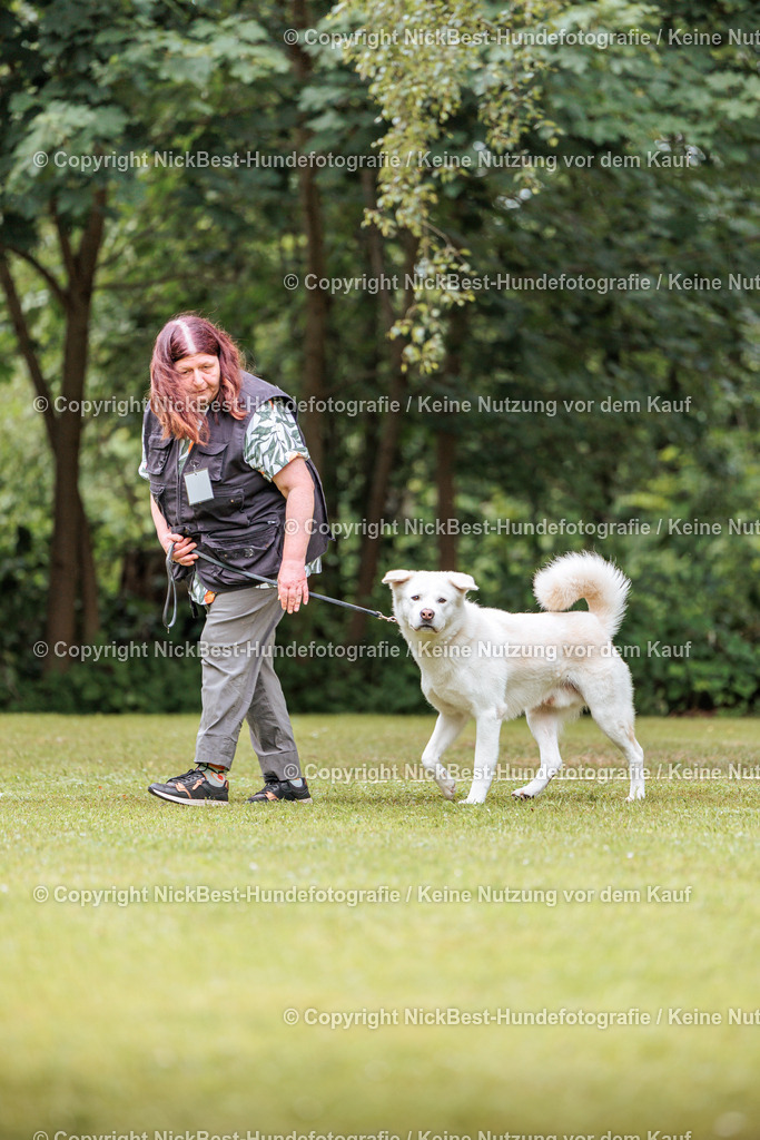 RO-Blumenthal-2026-Nickbest-Hundefotografie-5002 | Dein Hund! Dein Moment! Deine Erinnerungen! Hundefotografie in Bremen Blumenthal. Ich fange die besonderen Momente deines Vierbeiners ein – ob Indoor mit Blitzanlage oder in der freien Natur. Sicher dir dein Moment und dein Termin für eure Erinnerungen.