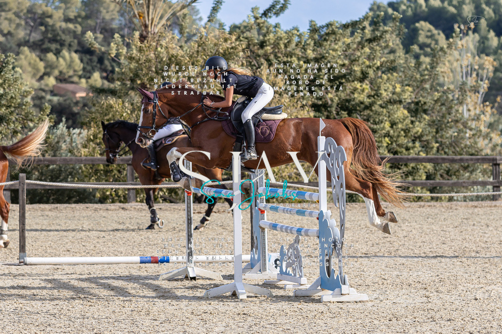 IMG_0204 | s-jay-photography - Realisiert mit Pictrs.com