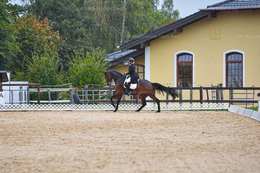 8_1-020-Klasse S_  -Marixx-4372 | working equitationturnier fotograf videograf stoibphotography marixx film working equitation deutschland reitsport turnierfotografie eventfotografie equestrian events