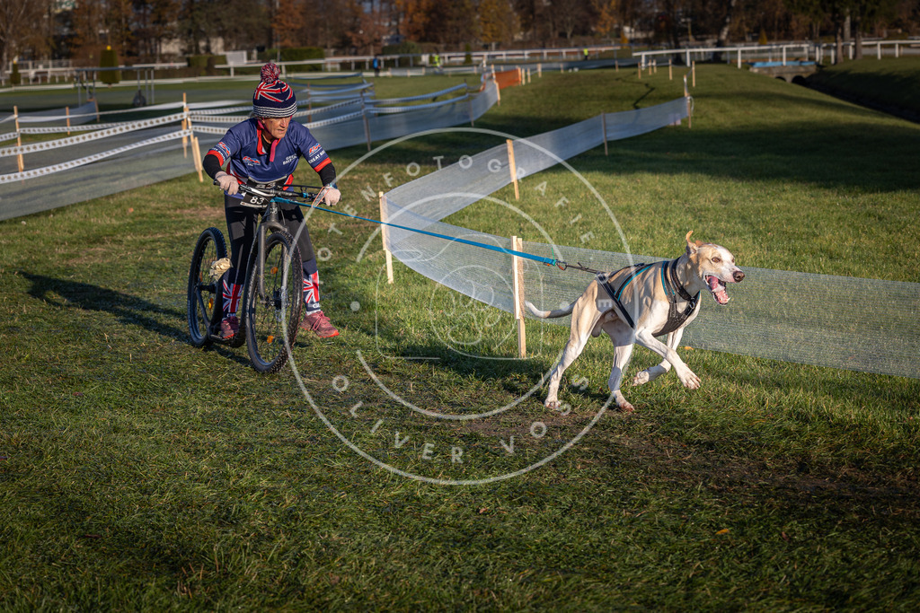 CaniXpix_0L8A3751 | Hundefotografie, Tierfotograf, Pfotenfotografie, Fotoshooting Hund, Hunde Portrait, Hundesport, Hundeportraits, Heideshooting, Hunde, Sportfotograf, Hundefotograf, Turnierhundsport, THS,  - Realisiert mit Pictrs.com