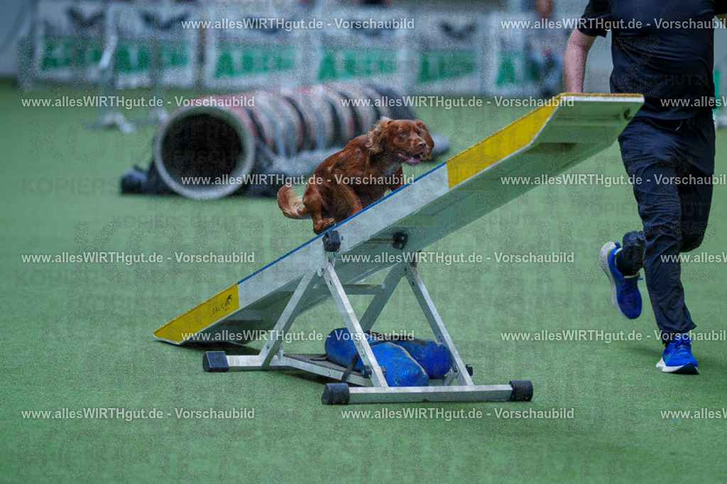 @allesWIRTHgut_Tierfotografie - www.allesWIRTHgut.de - 2604251359-7R504498 | Professionelle Tierfotografie in Mönchengladbach von Daniel Wirth (allesWIRTHgut). Liebevolle & natürliche Bilder von Hunden & Katzen für unvergessliche Erinnerungen.