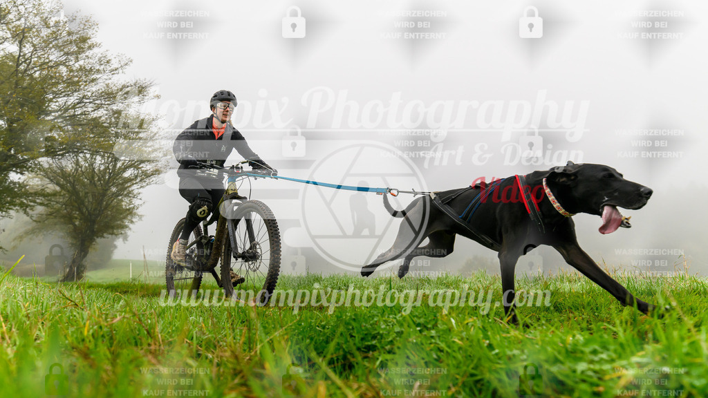 MompixPhotography_20TSB_E5_Bike-112 | PayLife