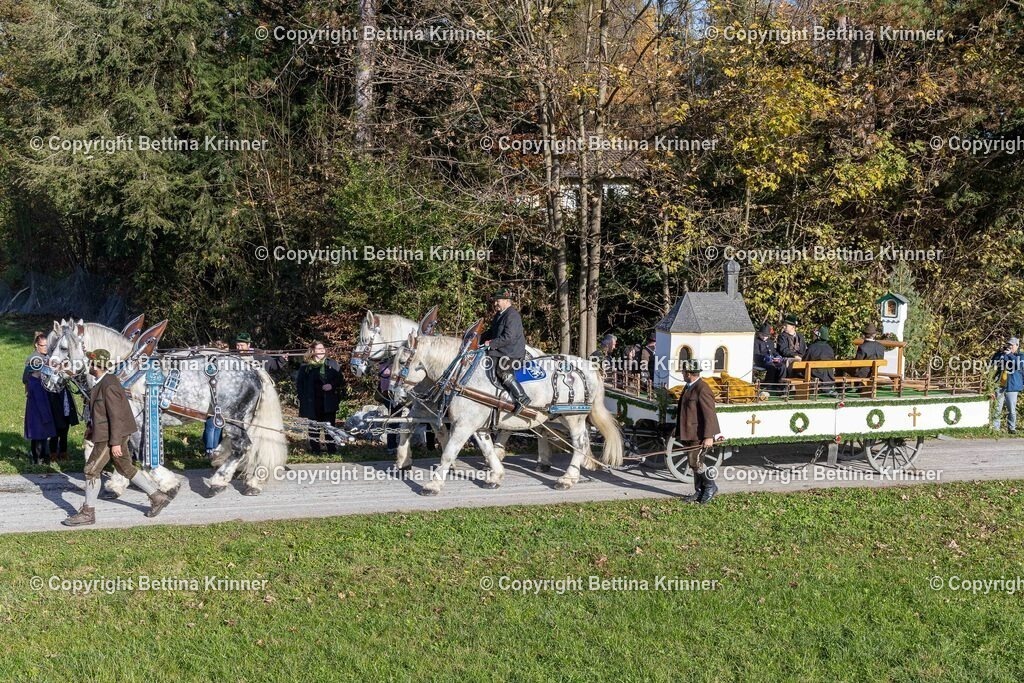 LBT24-481 | foto-bettina-krinner - Realisiert mit Pictrs.com