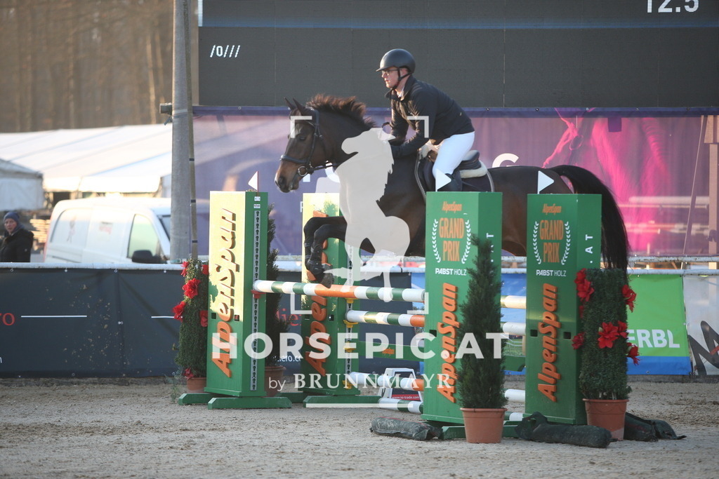 AS8V4265 | Willkommen bei Brunnmayr - Design & Fotografie – Ihrem Spezialisten für Reitturniere und Pferdeveranstaltungen in Oberösterreich, Salzburg und Bayern! Seit über 17 Jahren sind wir leidenschaftlich dabei.