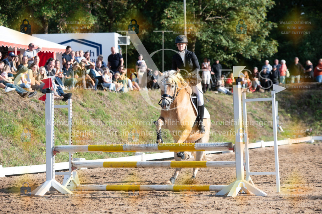 DSC_3149 | Nils Cress - Fotografie - Realisiert mit Pictrs.com