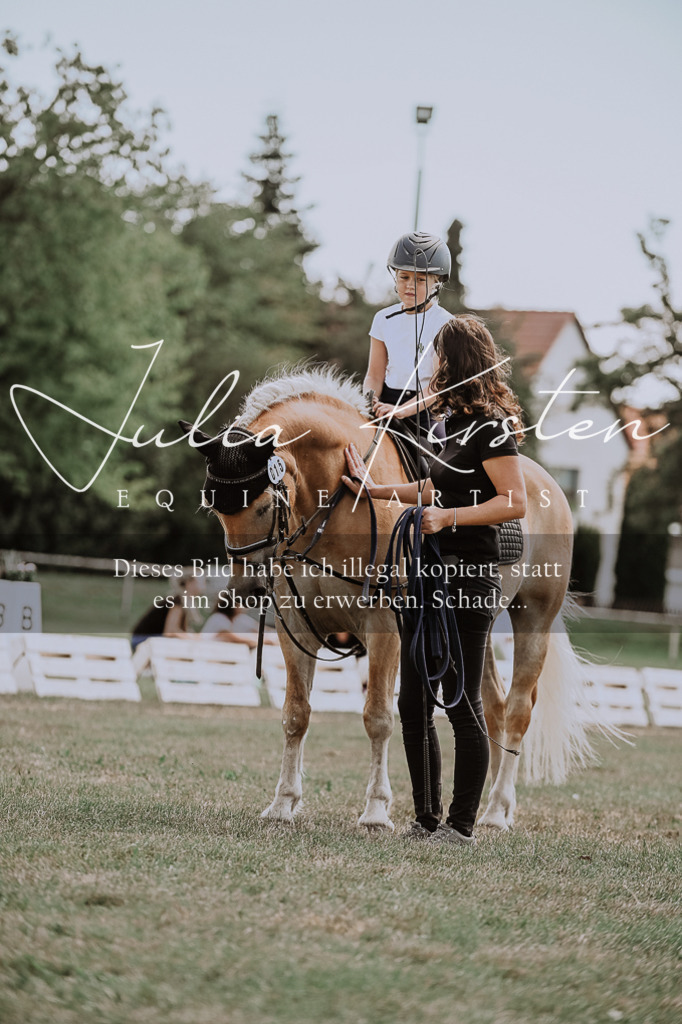 DSC_7718 | Pferde- und Turnierfotografie in Westsachsen. Pferdeportraits, Auftragszeichnungen und intuitive Kunst.
