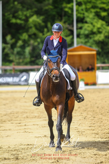 DKP46335 | Turniersportfotografie; Pferdefotografie; Dressurfotografie