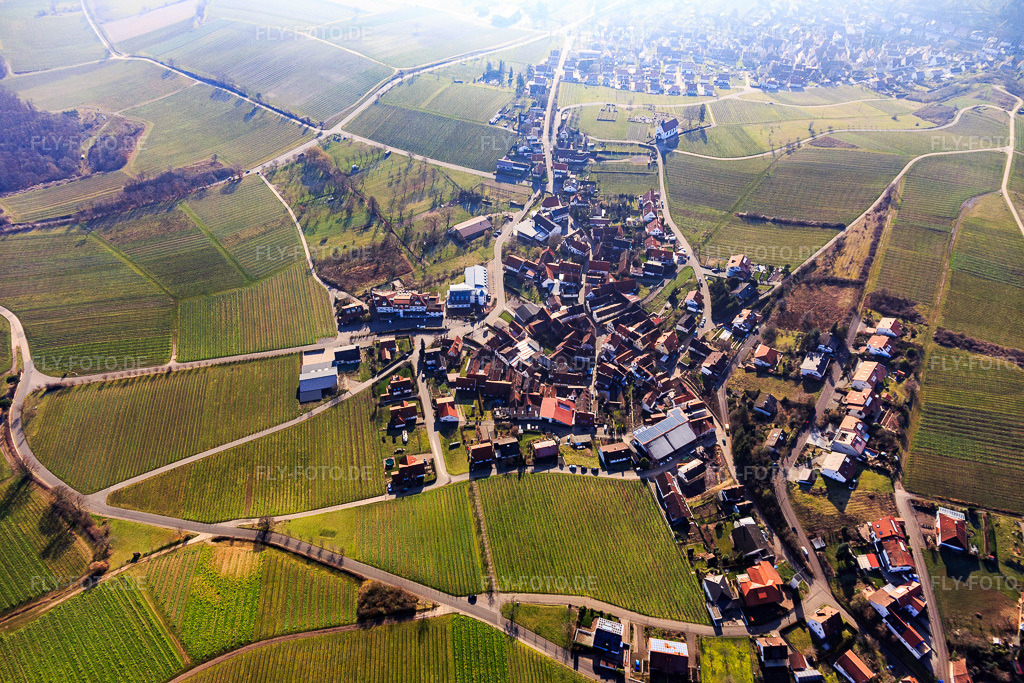 Luftbild: Ortsansicht aus Nordosten im Ortsteil Gleiszellen in Gleiszellen-Gleishorbach im Bundesland Rheinland-Pfalz in Deutschland. Foto: IMG_120045.jpg vom 07.02.2020 durch Werner Riehm/FLY-FOTO.de
