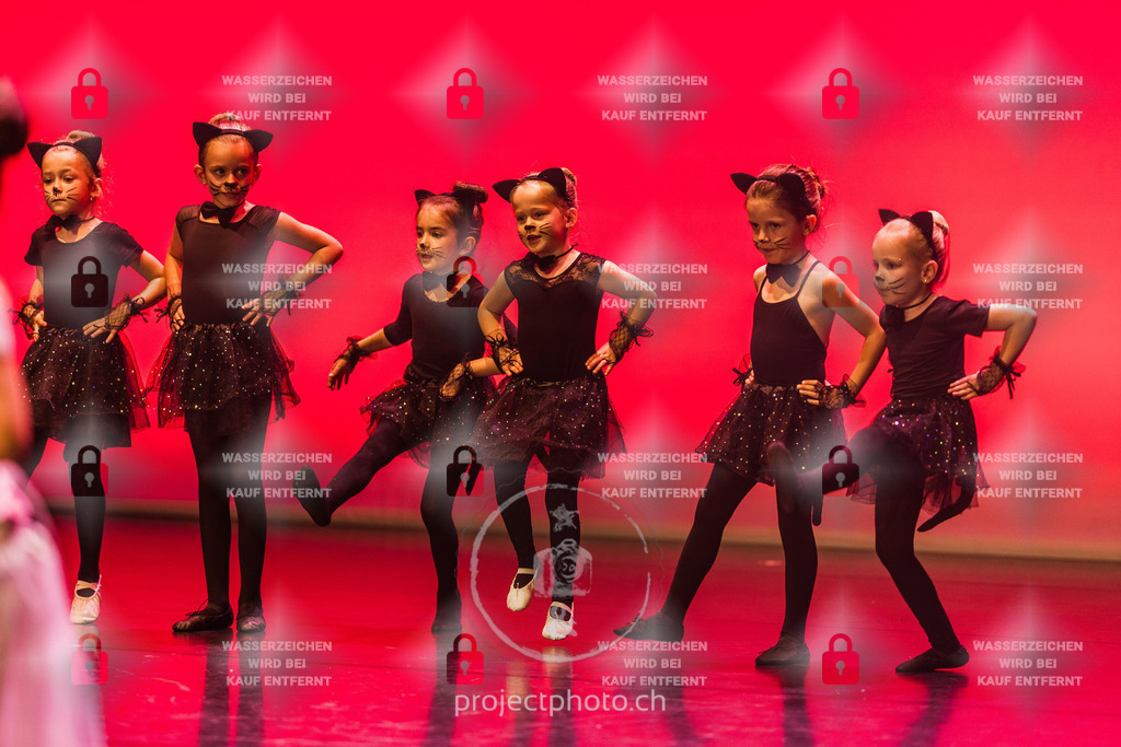 EXPORT_FULL-8726 | projectphoto - Realisiert mit Pictrs.com