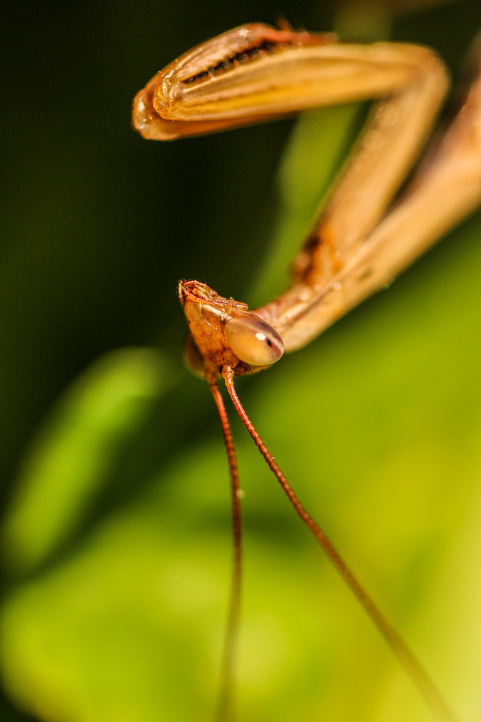 IMG_5548 | ehrlichefotos - Realisiert mit Pictrs.com